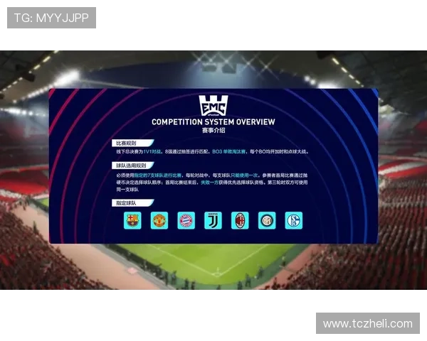 足球巨星巅峰荣耀全面解析从绿茵传奇到世界最高舞台